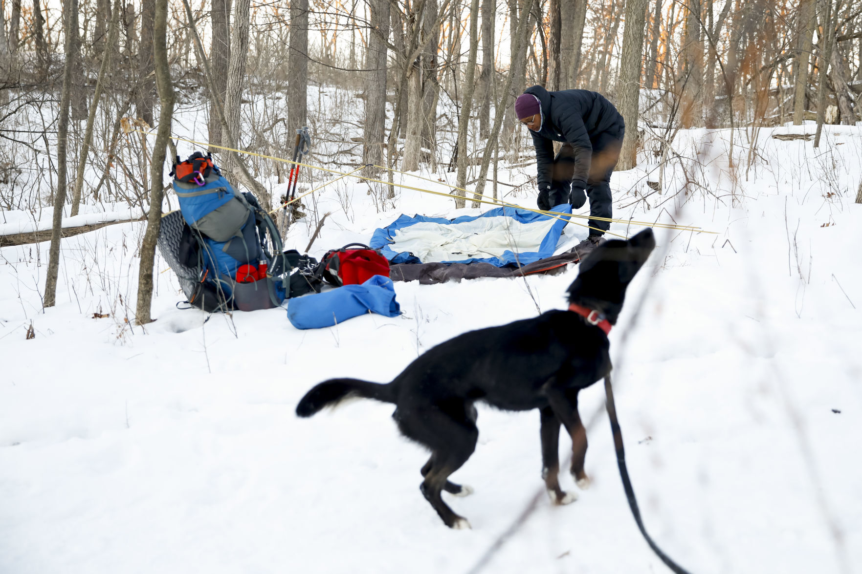Ice Age Winter Hiker 012221 08-01252021091249